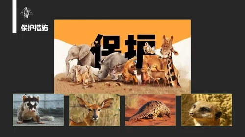 保护野生动物老虎PPT模板