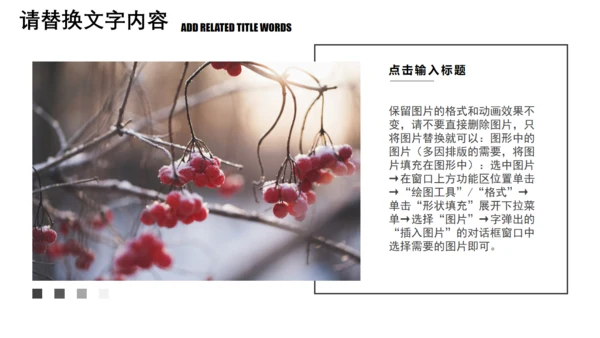 冬至吃饺子活动策划通用PPT模板