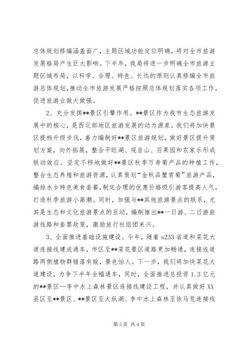 旅游局XX年上半年工作总结和下半年工作计划_1.docx