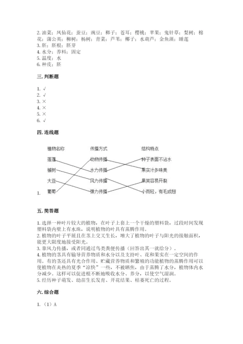 教科版科学四年级下册第一单元《植物的生长变化》测试卷有精品答案.docx