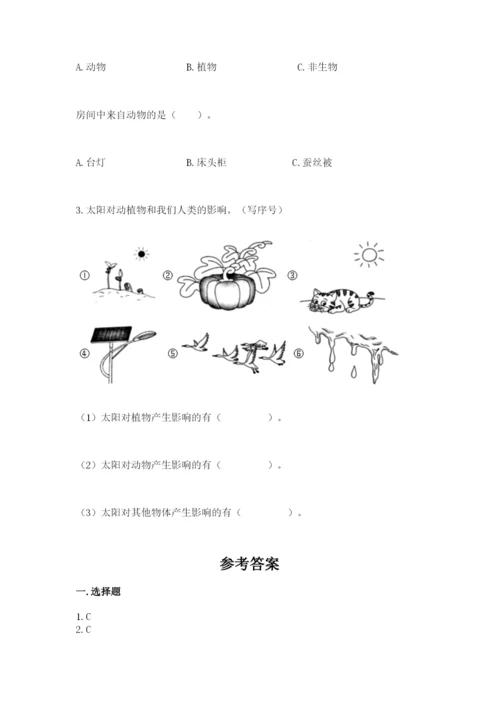 教科版小学二年级上册科学期末测试卷含完整答案（网校专用）.docx