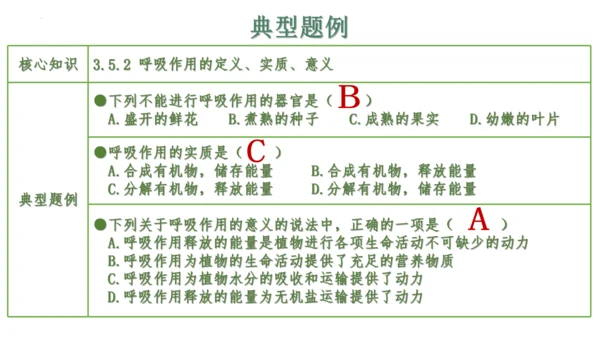 第三单元 植物的生活（单元复习课件）2023-2024学年七年级生物上册同步精品课件（人教版）(共3