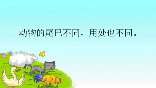 20 小壁虎借尾巴 课件