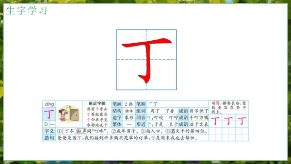 5我变成了一棵树   课件