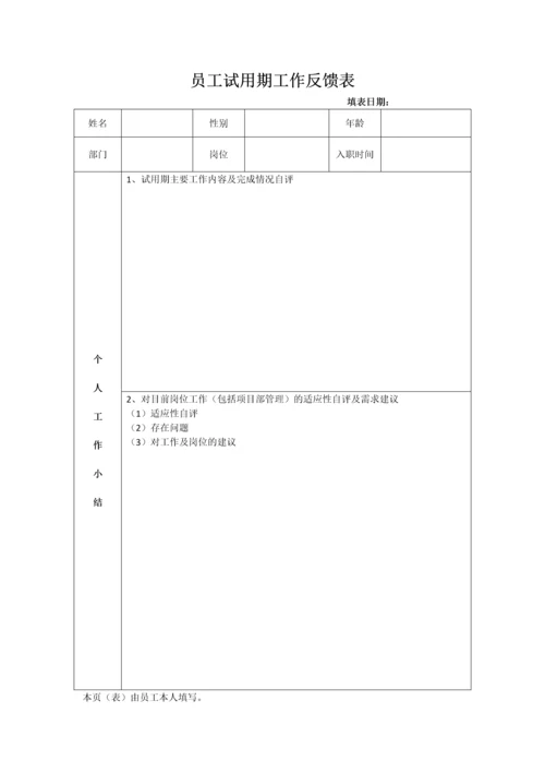 试用期工作情况反馈表(正反面打印).docx