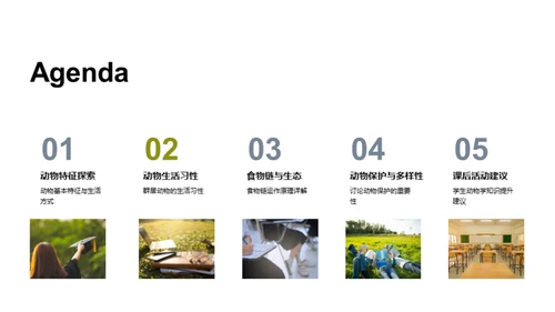 探秘动物世界