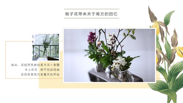 清醒纪植物绘小清新文艺女青年通用PPT模板