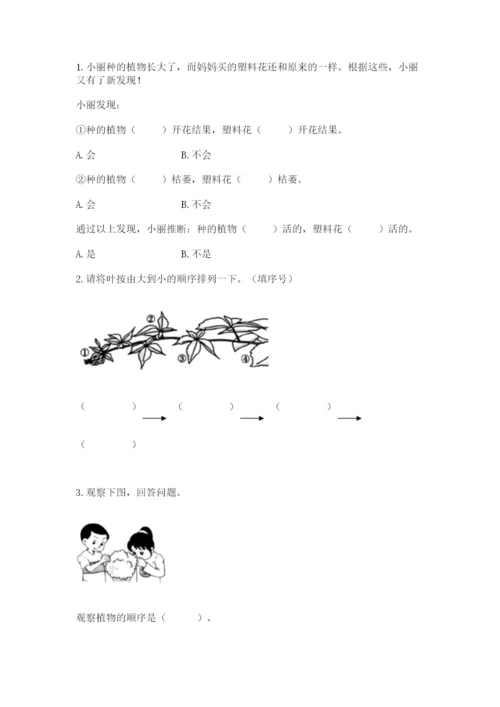 教科版一年级上册科学期末测试卷带答案（最新）.docx