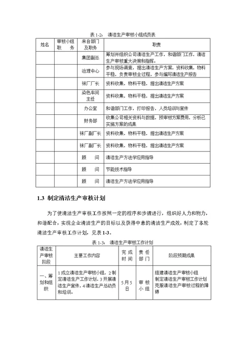 13袜子清洁生产审核报告