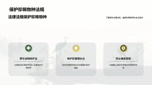 共同关爱地球，保护珍稀物种