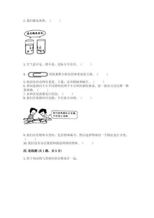 教科版一年级下册科学期末测试卷精品（全优）.docx