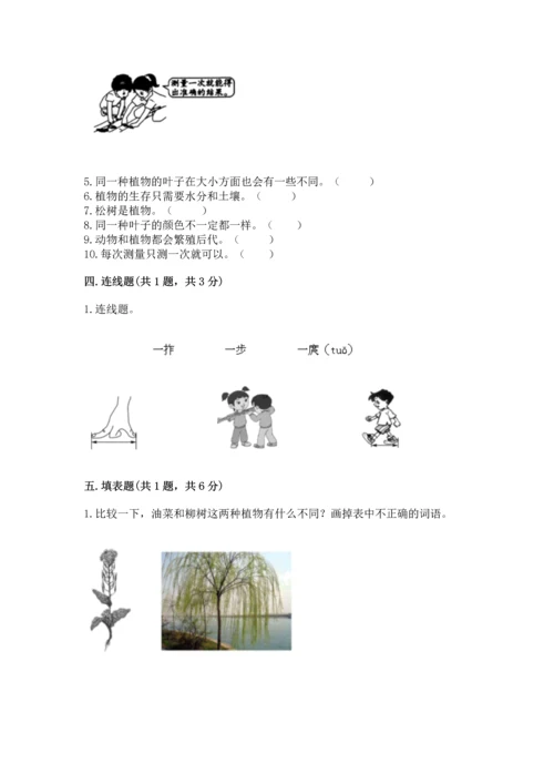 教科版科学一年级上册期末测试卷（满分必刷）.docx