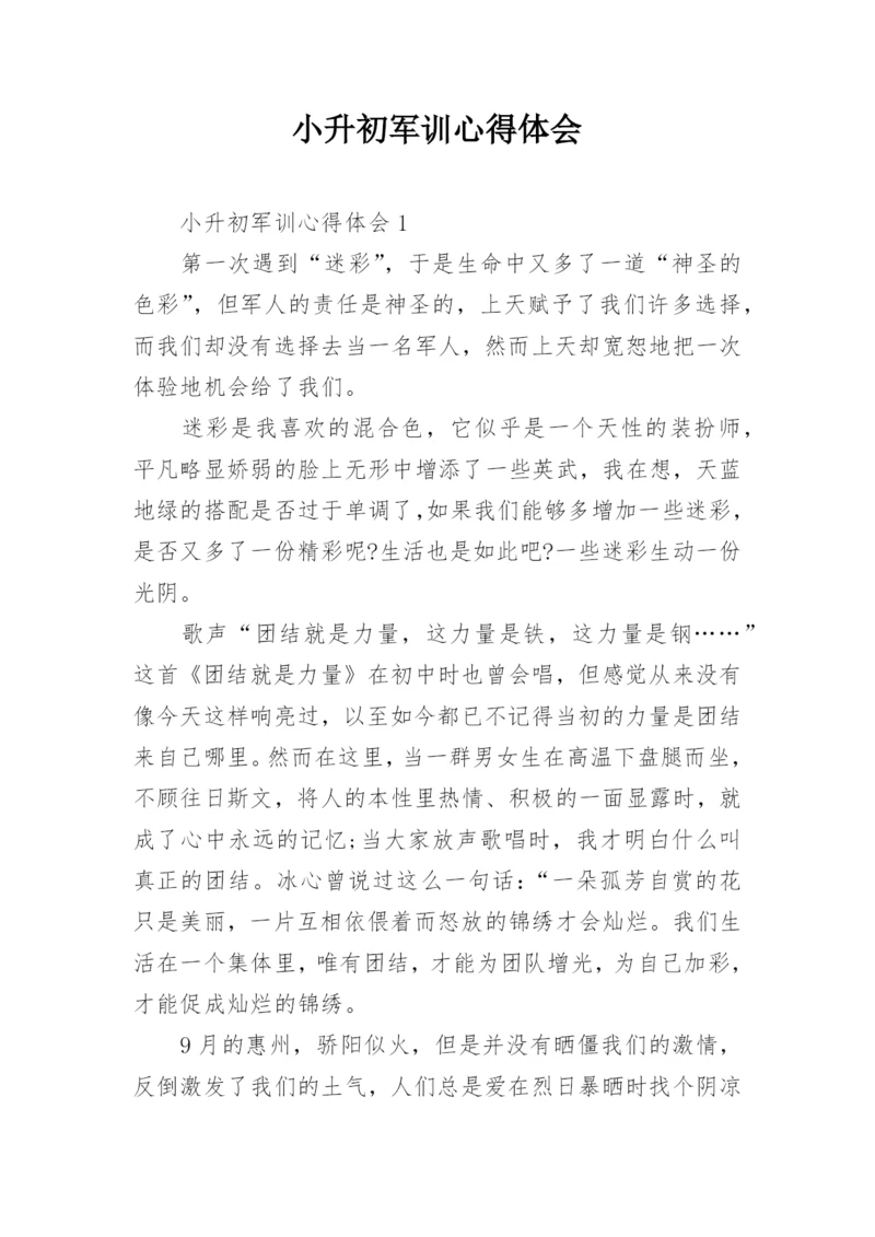 小升初军训心得体会.docx