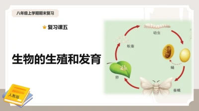 复习专题五生物的生殖和发育（串讲课件）-八年级生物上学期期末考点大串讲（人教版）(共20张PPT)