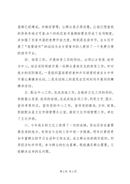 乡镇年度文化活动工作总结.docx