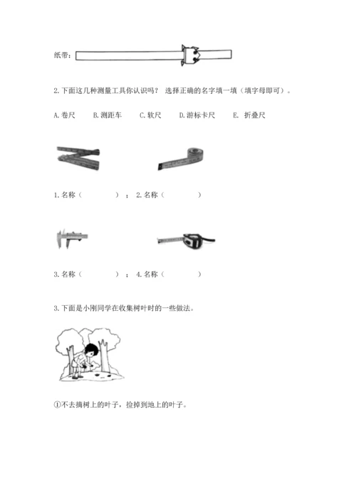 教科版一年级上册科学期末测试卷【名师系列】.docx