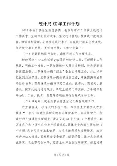 统计局XX年工作计划 (2).docx