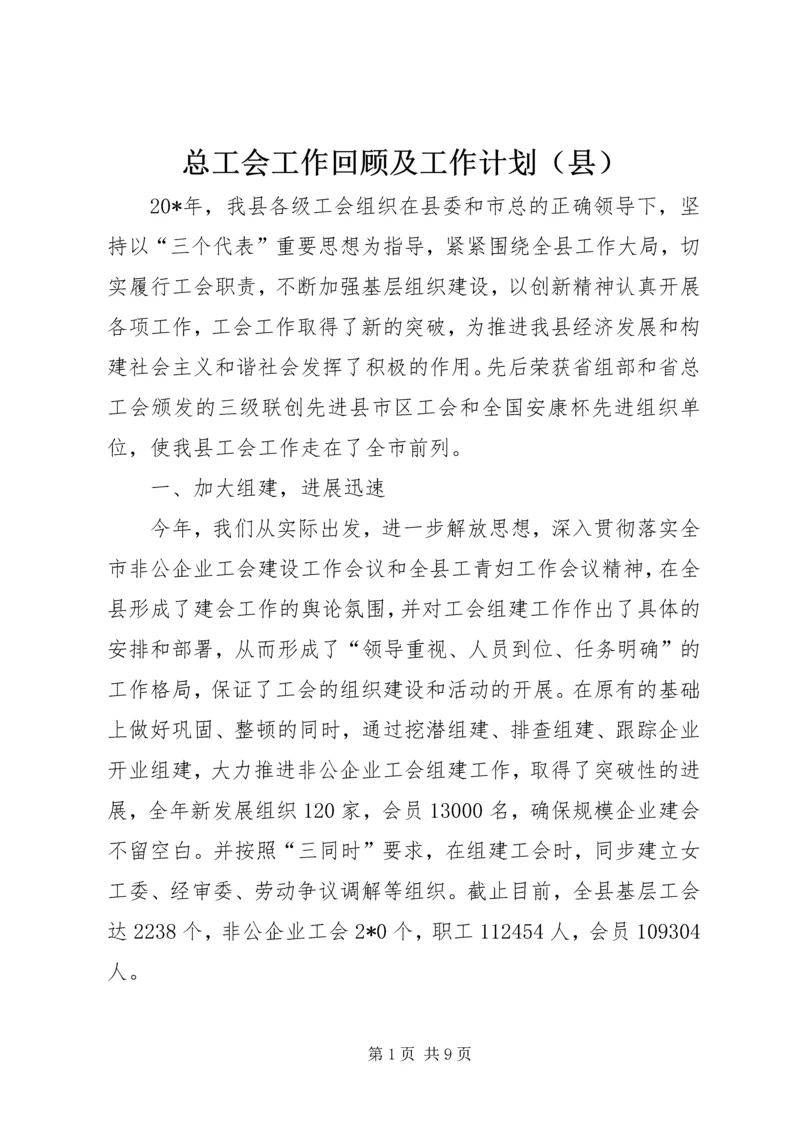 总工会工作回顾及工作计划（县）.docx