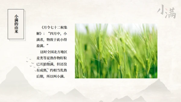 传统节气小满一抹绿色通用PPT模板