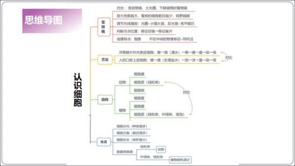 1.1&1.2 认识生物和细胞（复习课件）【2024人教新版七上生物高效完全备课】(共44张PPT)
