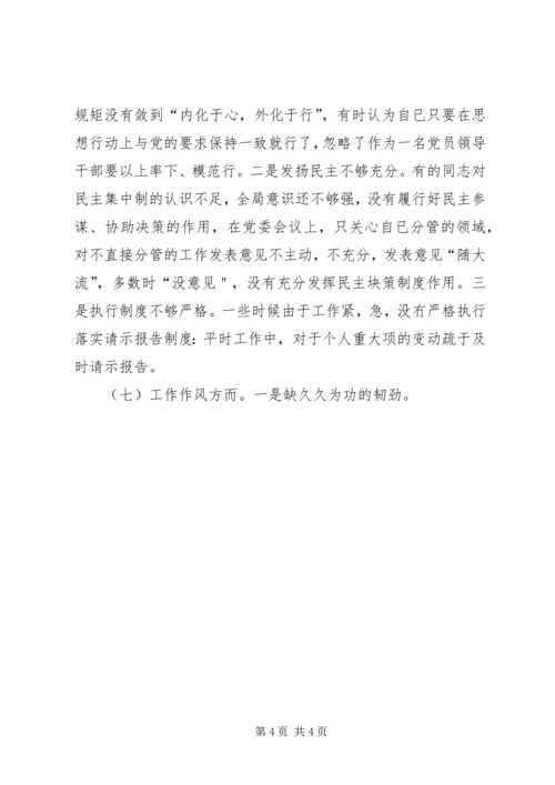 新时代新担当新作为专题组织生活会对照检查材料.docx