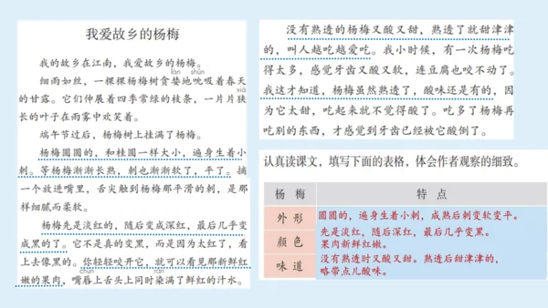 部编版三年级语文上册 第五单元习作例文：我家的小狗  课件