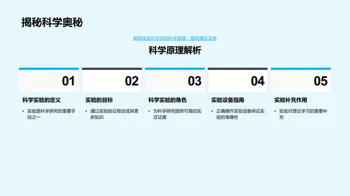 实验探究之旅