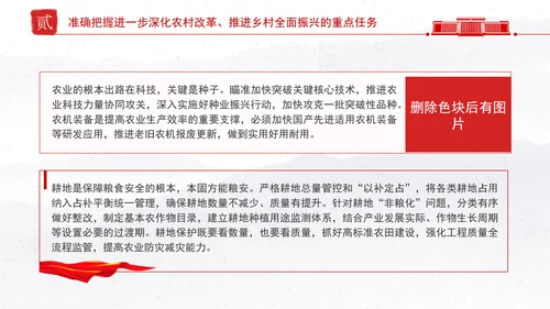 贯彻落实中央农村工作会议精神和2025年中央一号文件部署党课PPT