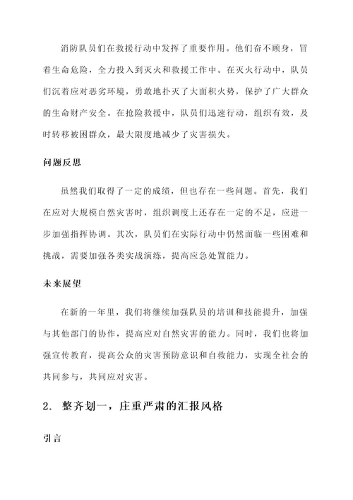 陕西消防救灾工作总结汇报