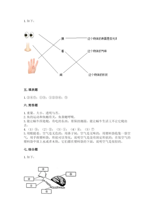 教科版小学科学一年级下册期末测试卷及参考答案【典型题】.docx