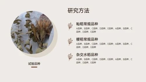 水稻农业植物品种研究和进展通用PPT模板