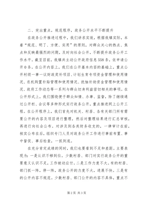 乡镇政务信息公开工作总结.docx