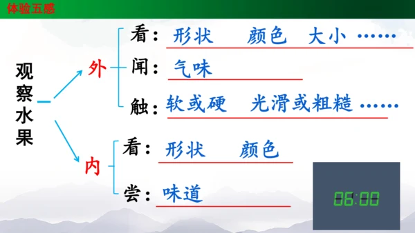 统编版三上第五单元 习作例文：我爱故乡的杨梅   课件