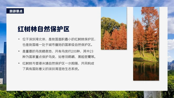 深圳印象通用PPT模板