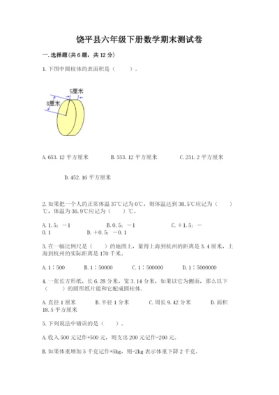 饶平县六年级下册数学期末测试卷加精品答案.docx