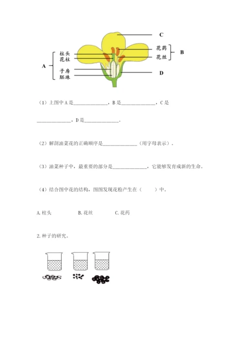 教科版四年级下册科学第一单元《植物的生长变化》测试卷（培优）.docx