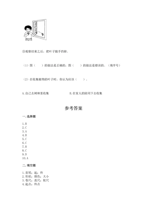 教科版一年级上册科学期末测试卷及参考答案【培优a卷】.docx
