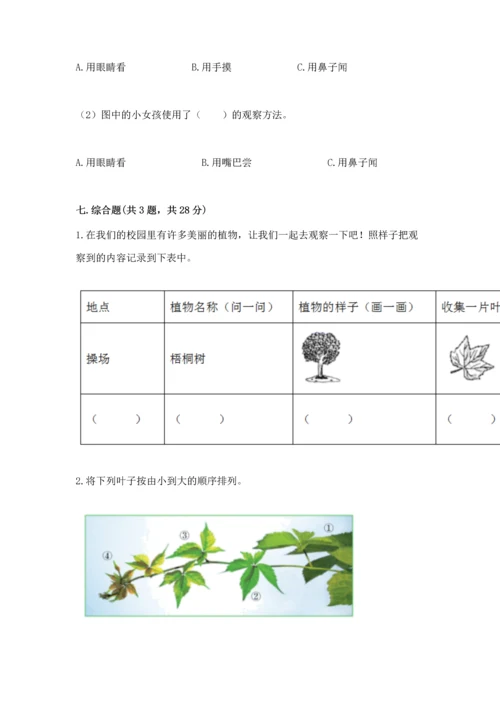 教科版科学一年级上册第一单元《植物》测试卷含完整答案（考点梳理）.docx
