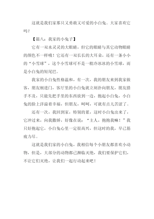 我家的小兔子作文.docx