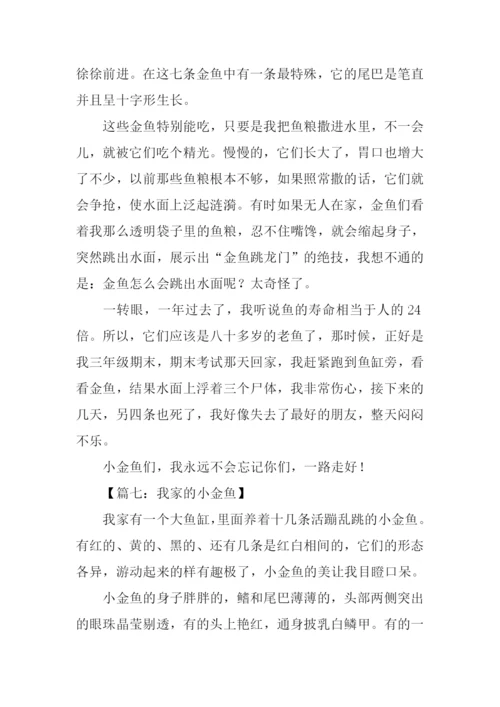 我家的小金鱼作文350字.docx