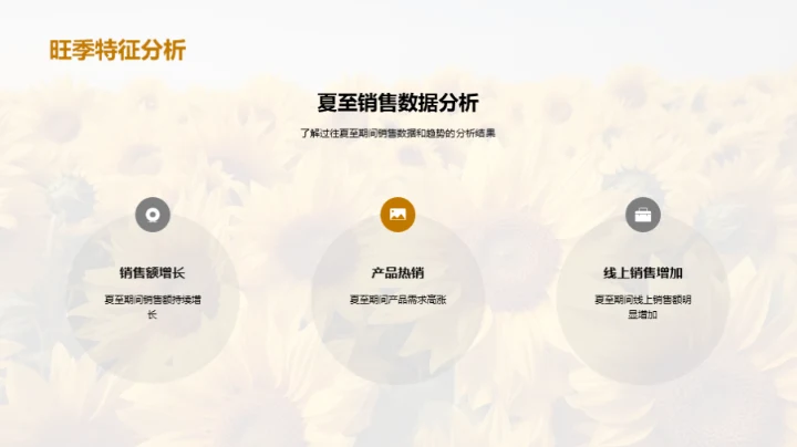夏至营销战略解析