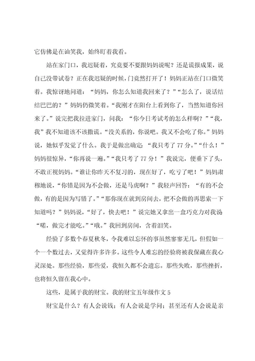我的财富五年级作文
