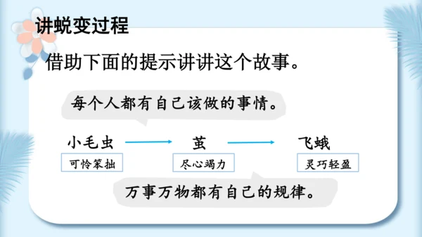 22.小毛虫（第二课时）教学课件