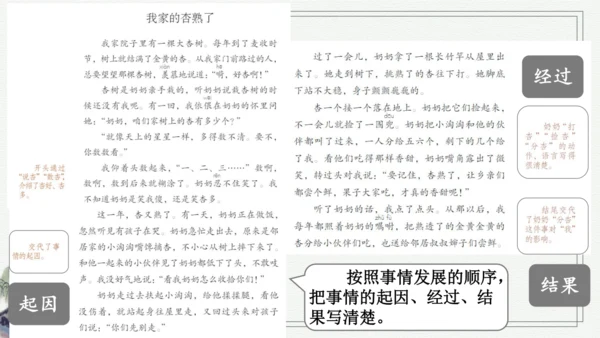 部编版四年级上册语文 习作例文 课件