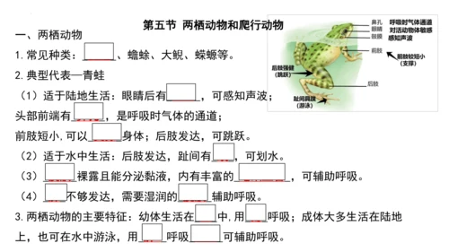 人教版生物八年级上册期末考试知识点汇总（课件）(共28张PPT)