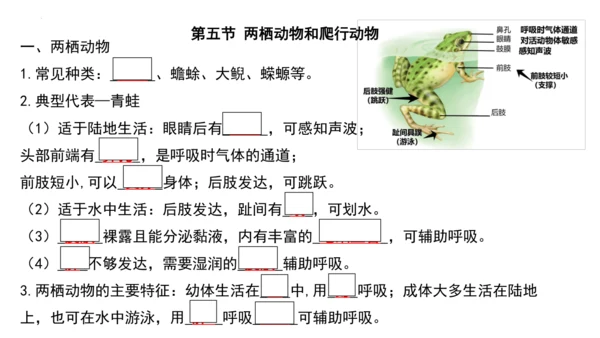 人教版生物八年级上册期末考试知识点汇总（课件）(共28张PPT)