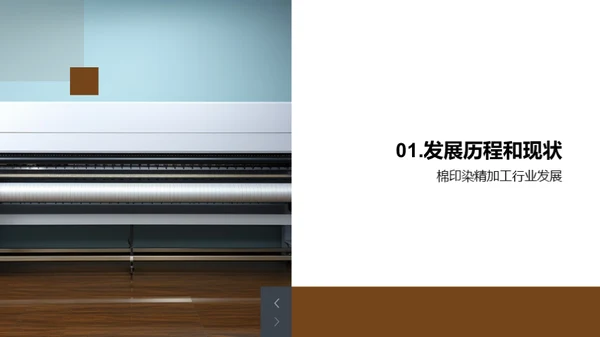棉印染行业未来解析