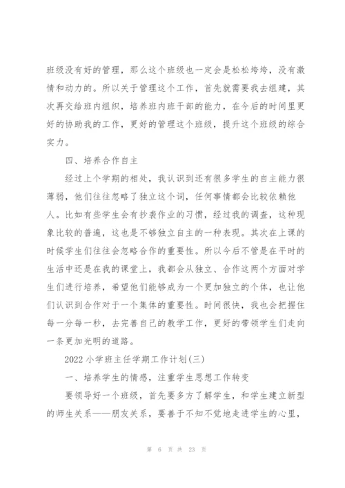 2022小学班主任学期工作计划.docx