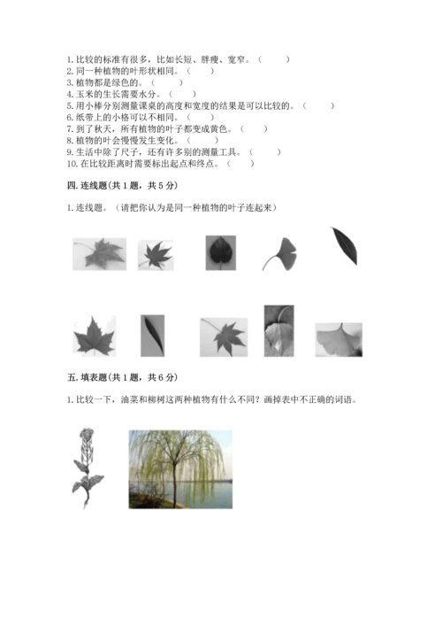 教科版一年级上册科学期末测试卷含完整答案（网校专用）.docx