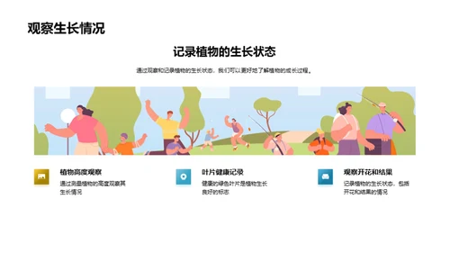 揭秘植物生长之旅